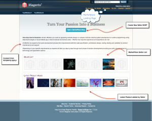 Magento 入驻平台 - B2B + C2C模式版