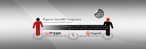 Openerp magento