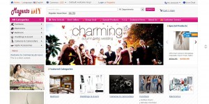 magento zhonghe shangcheng